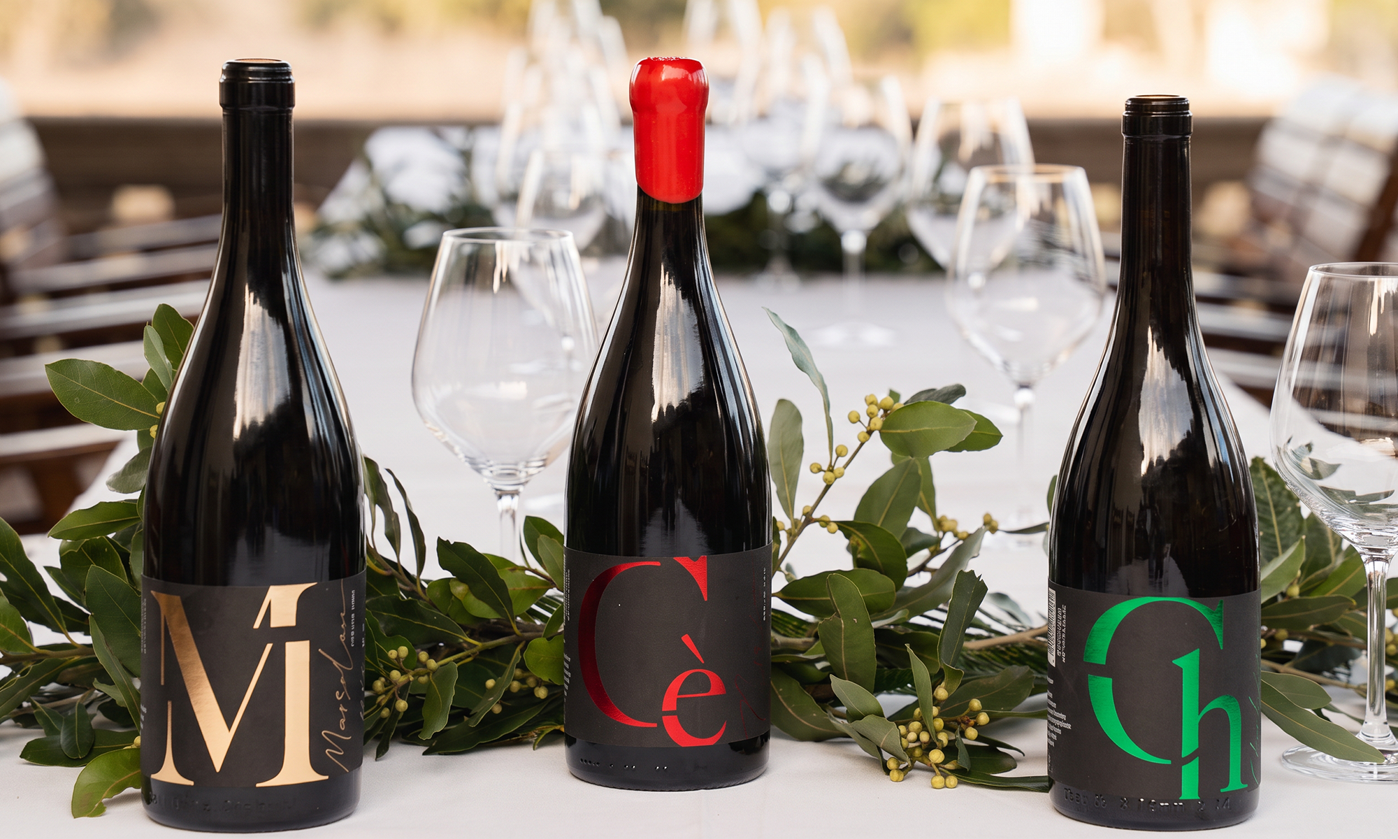 BUK vinarija — Dizajn etikete za vino — Vinarija Buk